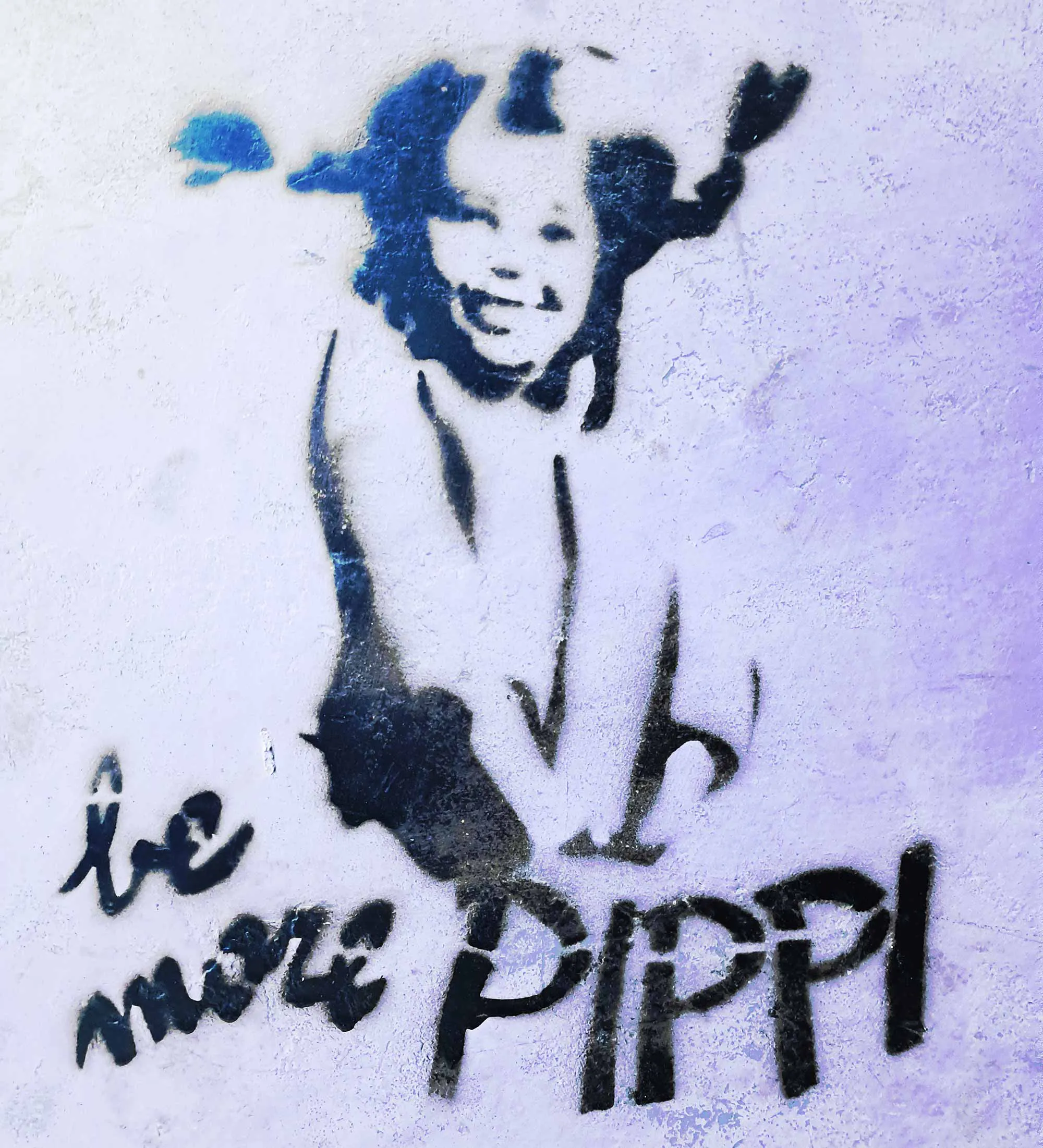 Be_more_Pippi-COVER-BIO